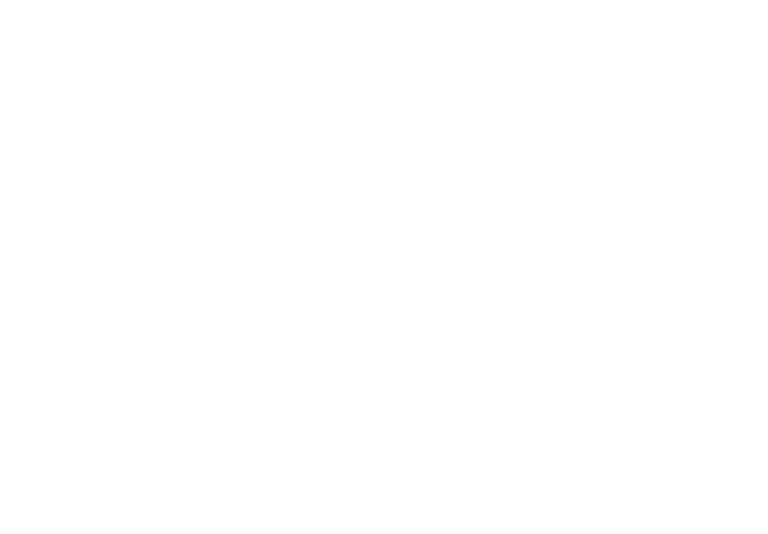 1-800-MY-RESET white vertical logo